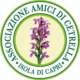 Amici di Cetrella